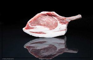 Iberico
